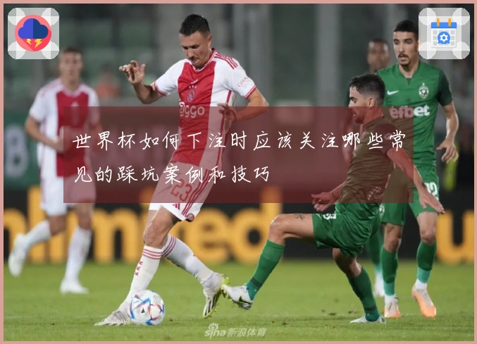 世界杯如何下注时应该关注哪些常见的踩坑案例和技巧