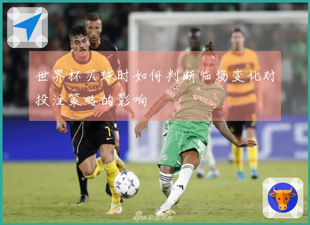 世界杯买球时如何判断临场变化对投注策略的影响